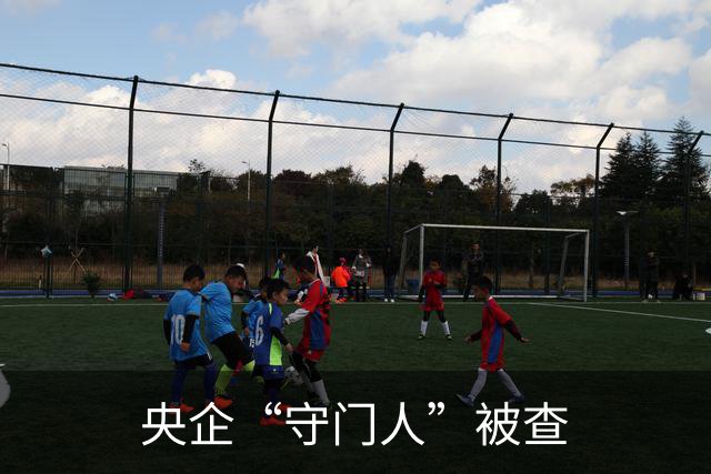 央企“守门人”被查