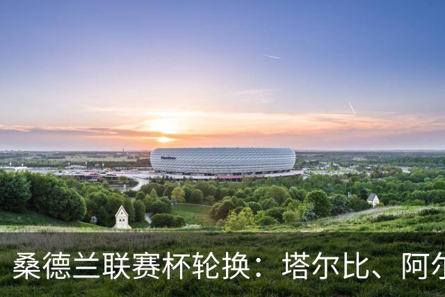 桑德兰联赛杯轮换：塔尔比、阿尔德雷特与图季耶罗夫有望首发