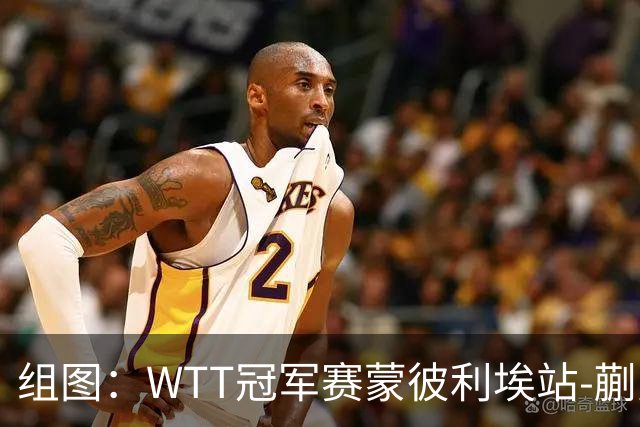 组图：WTT冠军赛蒙彼利埃站-蒯曼晋级8强 暴力回球