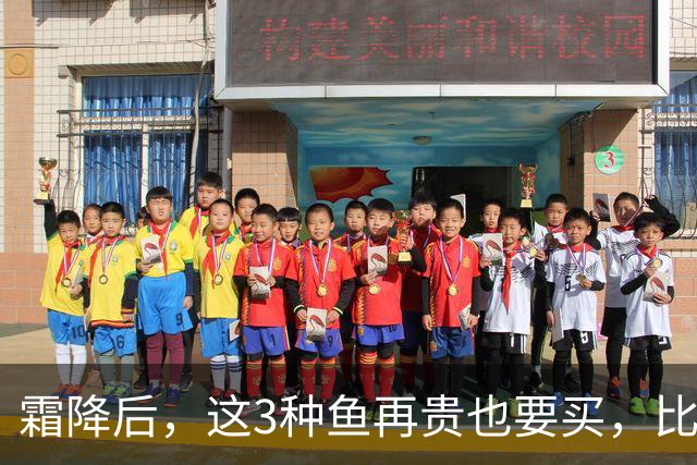 霜降后，这3种鱼再贵也要买，比鲫鱼鲜，比带鱼有营养，要多吃